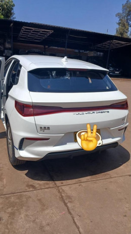 byd-big-2