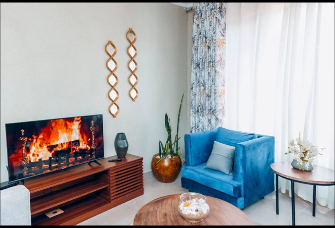 nyarutarama-fully-furnished-apartment-for-rent-in-kigali-big-9
