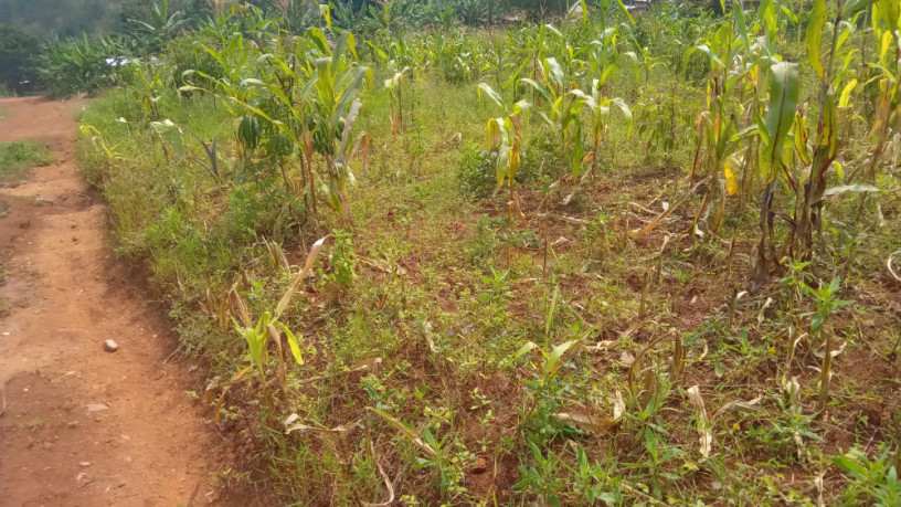 kigali-plot-for-sale-in-gahanga-kicukiro-big-5