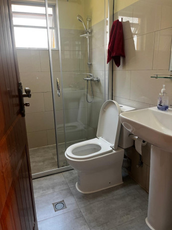 nyarutarama-nice-furnished-house-for-rent-in-kigali-big-5