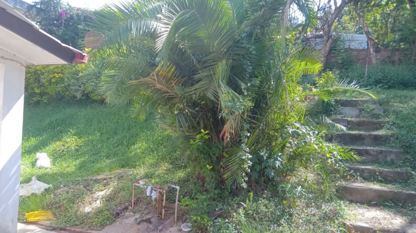 kiyovu-plot-for-sale-big-6