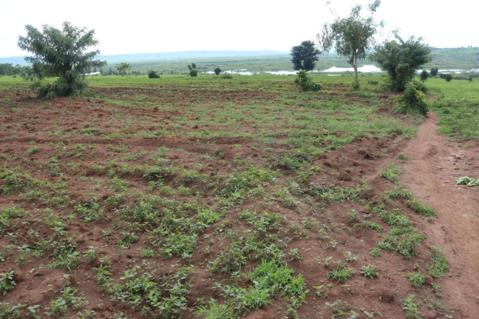 agriculture-land-for-sale-in-bugesera-gashora-rwanda-access-on-water-big-1