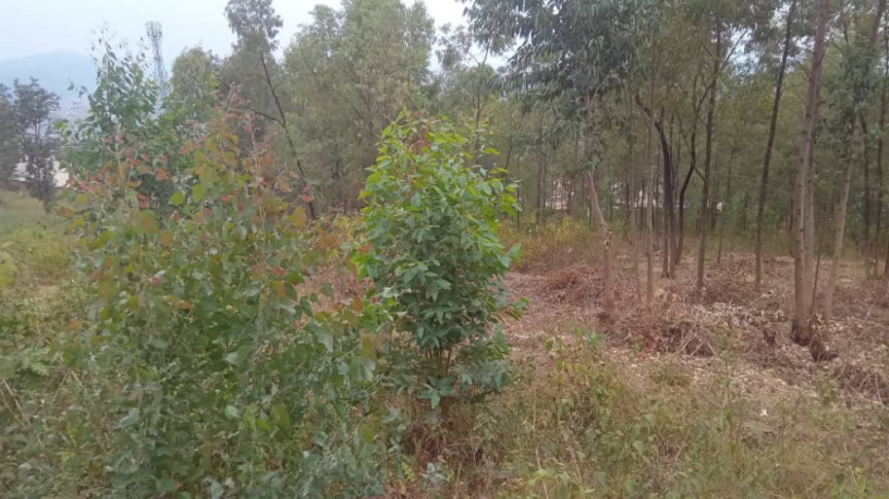 kigali-land-for-sale-in-rebero-big-2