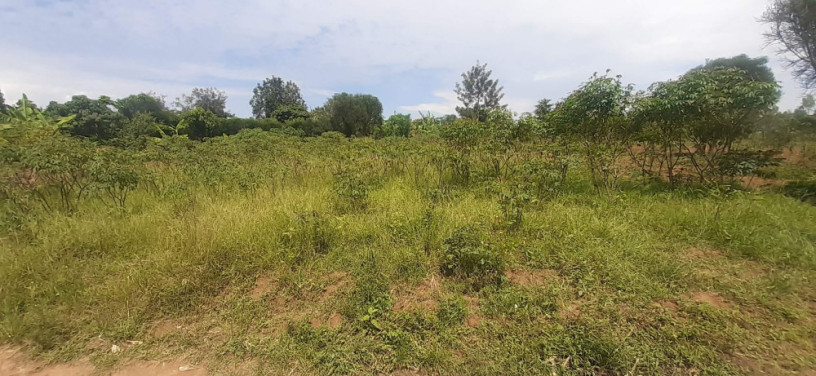 residential-plot-for-sale-in-shyorongi-near-main-road-on-top-mountian-big-2