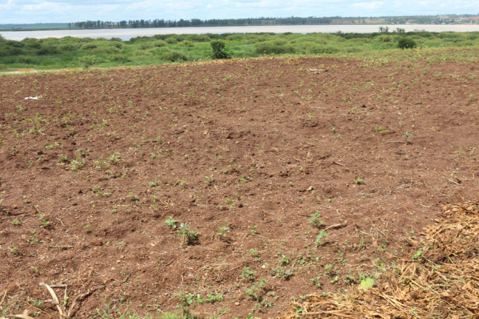 land-for-sale-in-bugesera-near-airport-access-on-lake-of-rwanda-hot-deal-big-0