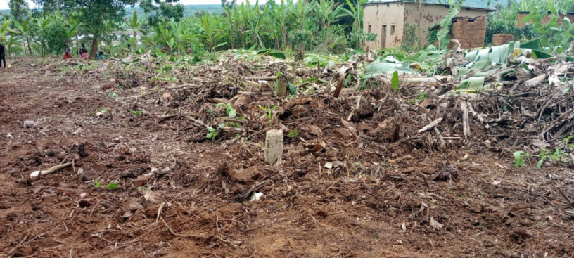 property-for-sale-in-masaka-big-3
