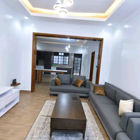 niboye-nice-fully-furnished-apartment-for-rent-in-kigali-big-1