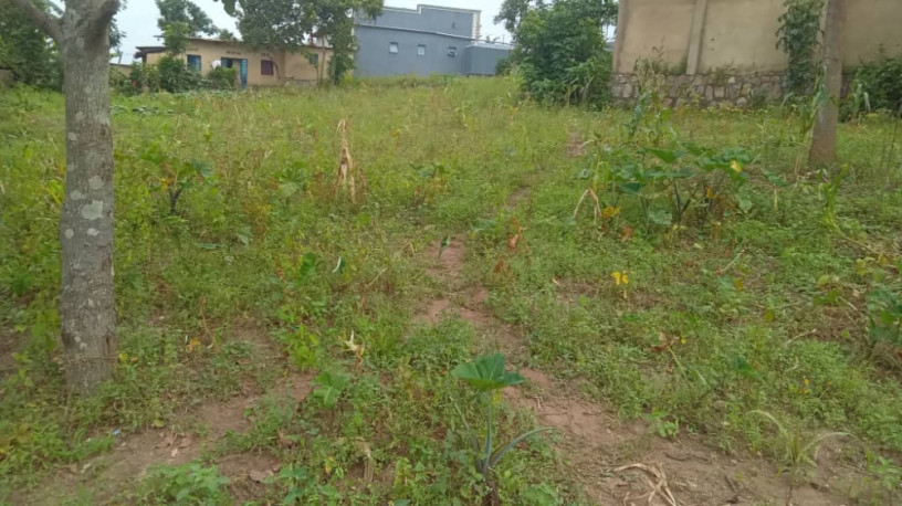 land-for-sale-in-batsinda-kagugu-big-4