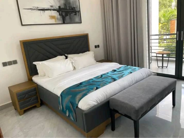 new-full-furnishednew-full-furnished-apartment-for-rent-in-kimihurura-big-6