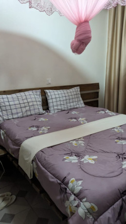 bb-003-kibagabaga-furnished-apartment-for-rent-big-9