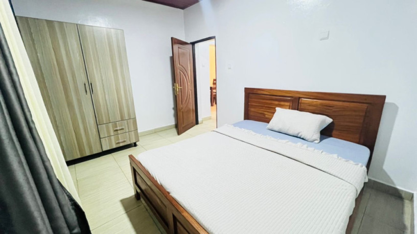 remera-apartment-for-rent-in-kigali-big-8