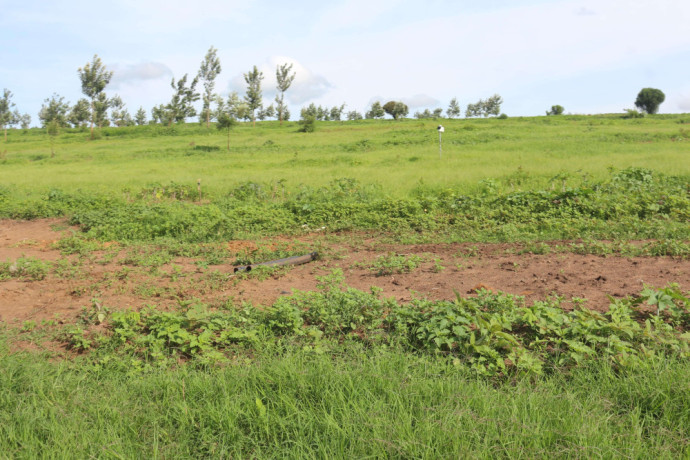 land-for-sale-in-bugesera-near-airport-of-rwanda-big-2
