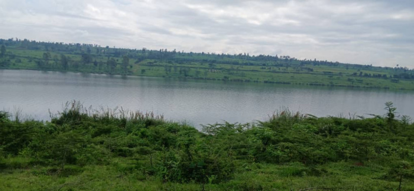 gatsibo-muhazi-land-for-sale-big-1