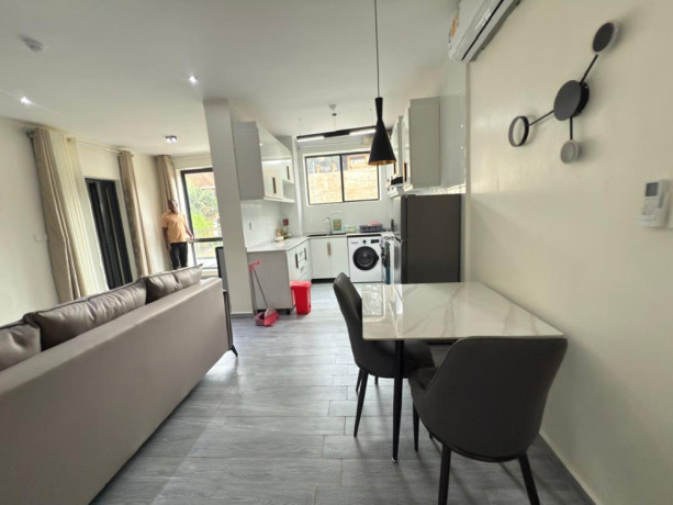 kacyiru-beautiful-furnished-apartment-for-rent-in-kigali-big-4