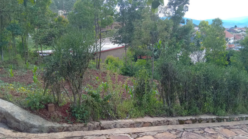 land-for-sale-big-2