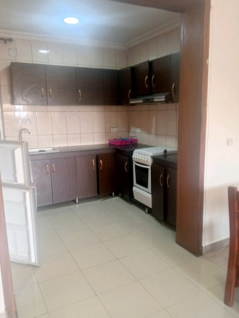 kigali-fully-furnished-apartments-for-rent-in-remera-big-2