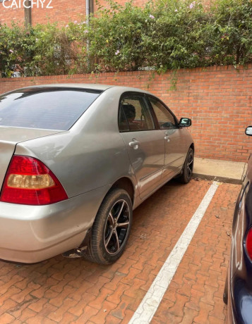 toyota-corolla-big-2