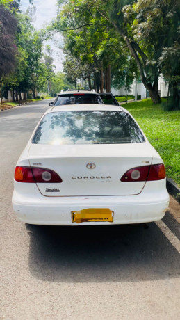 toyota-corolla-big-2