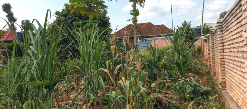 ikibanza-tugurisha-65m-gasogi-cyaruzinge-big-4