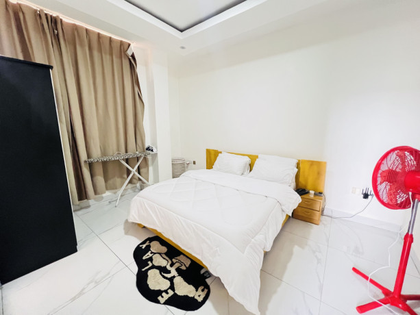remera-furnished-apartment-for-rent-in-kigali-big-1