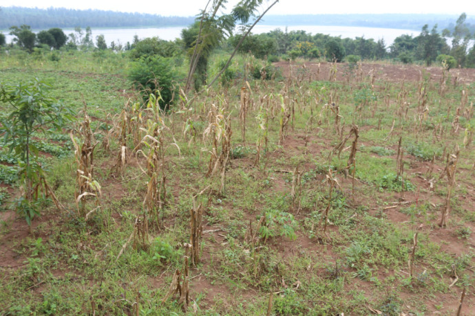 land-for-sale-in-bugesera-near-airport-of-rwanda-view-of-lake-big-0