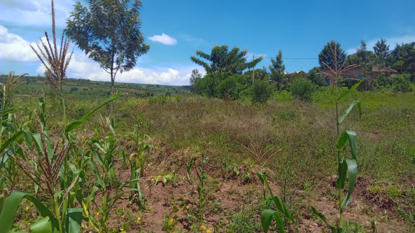 large-plot-for-sale-in-bugesera-big-9