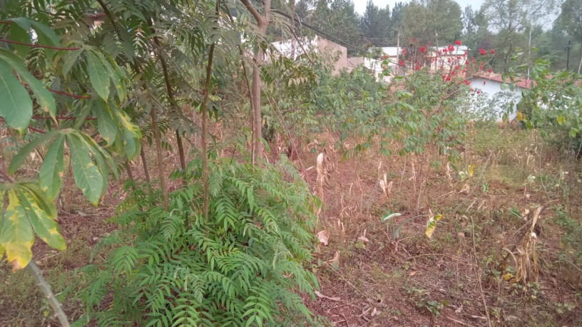 kigali-land-for-sale-in-rebero-facing-nyamirambo-side-big-2
