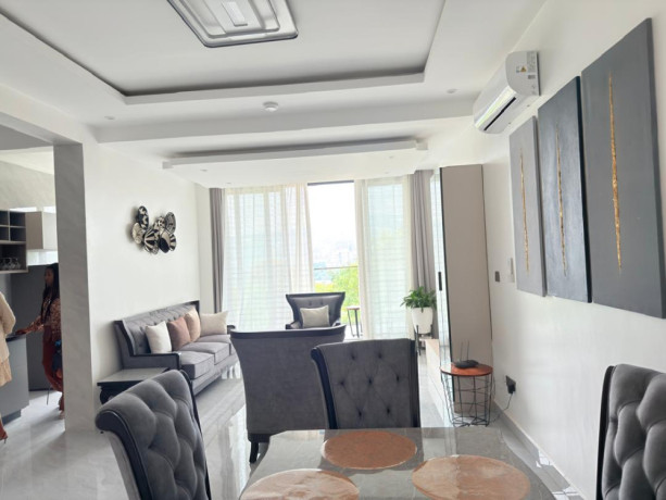 kimihurura-nice-furnished-apartment-for-rent-in-kigali-big-6
