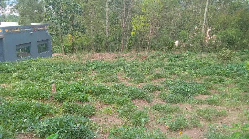 land-for-sale-in-batsinda-kagugu-big-5