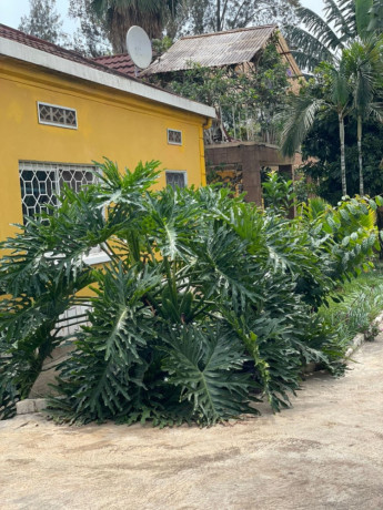 kigali-house-for-rent-in-kimihurura-big-5