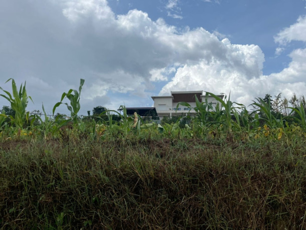 kigali-land-for-sale-in-kinyinya-with-nice-view-big-2