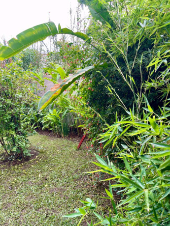 kigali-beautiful-house-available-for-rent-in-kinyinya-big-1