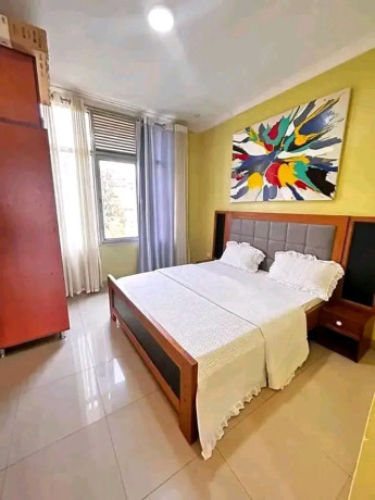 kimironko-furnished-apartment-for-rent-in-kigali-big-2