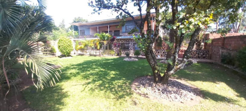 for-rental-please-contact-me-big-8