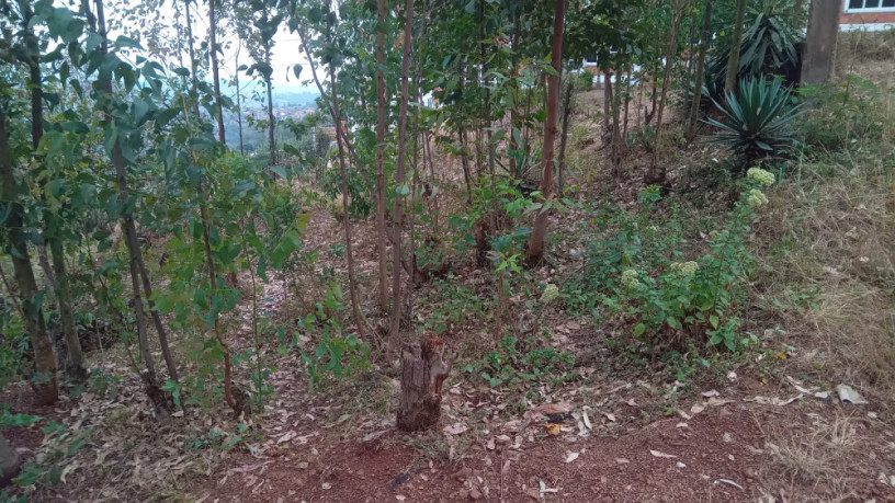kigali-land-for-sale-in-rebero-rujugiro-big-9