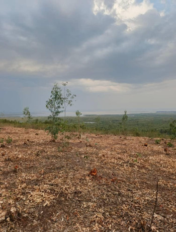 bugesera-plots-for-sale-in-kanzenze-big-2