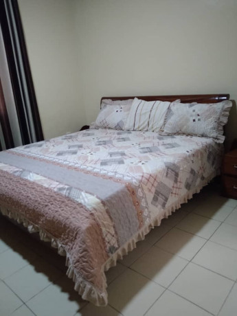 bs-11-kagugu-luxury-furnished-apartment-for-rent-big-1