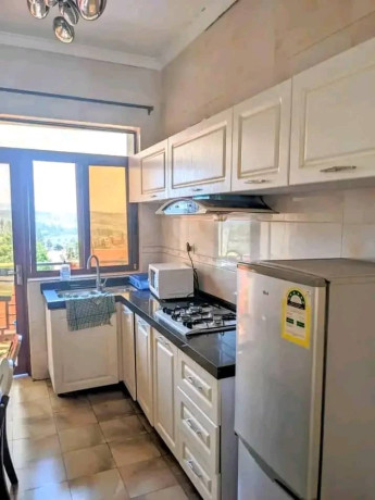 remera-2-bedroom-furnished-apartment-for-rent-in-kigali-big-3