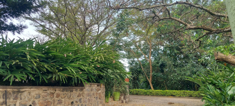 kigali-unfurnished-family-villa-available-for-rent-in-nyarutarama-big-7