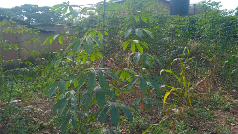 kigali-plot-for-sale-in-kinyinya-big-4