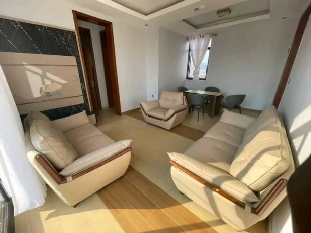 kimironko-beautiful-and-new-contemporary-house-for-sale-in-good-neighborhood-it-has-very-spacious-double-height-living-room-big-8