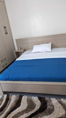 bb-085-kibagabaga-fully-furnished-house-for-rent-big-8