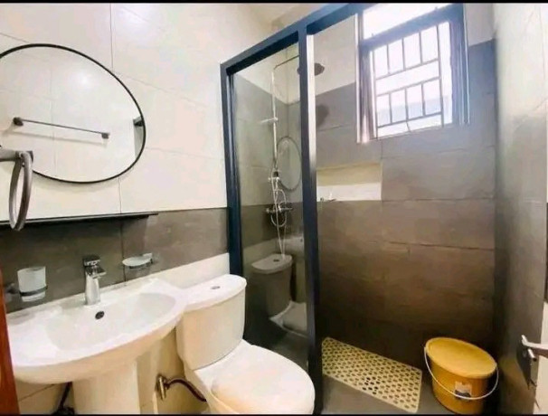 remera-fully-furnished-apartment-for-rent-in-kigali-big-4