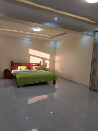 kacyiru-fully-furnished-apartment-for-rent-big-2