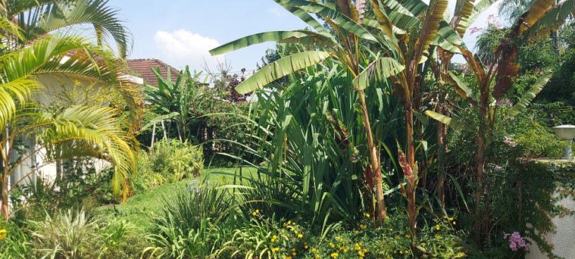 spacious-house-available-for-rent-at-nyarutarama-big-3