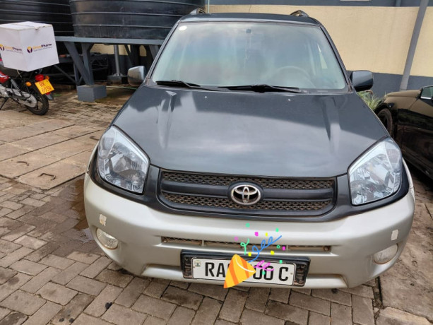 toyota-rav4-big-1