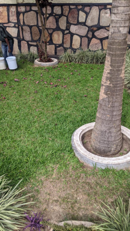 14-kibagabaga-very-nice-and-full-furnished-house-for-rent-big-2