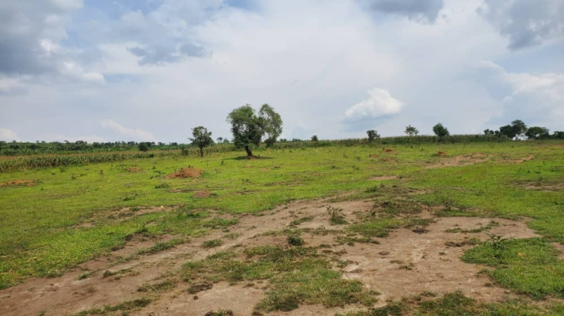 land-for-sale-in-nyagatare-karangazi-big-0