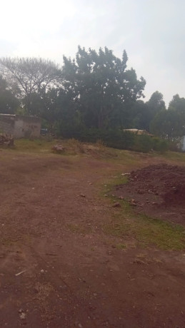 kigali-land-for-sale-in-rebero-big-4