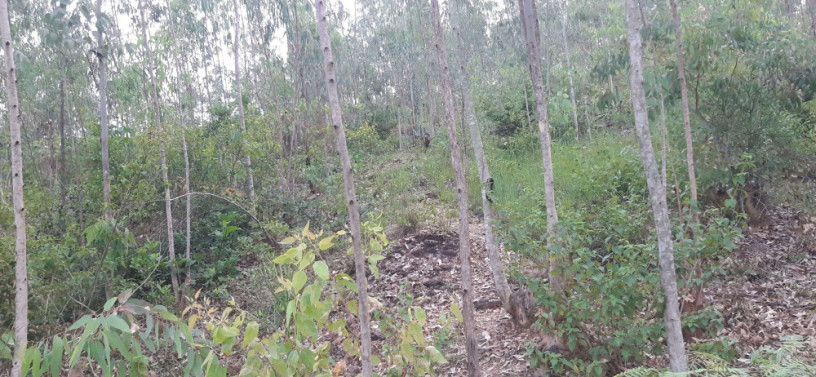 land-for-sale-in-gahanga-kigali-rwanda-in-ecotourism-and-hotel-big-3